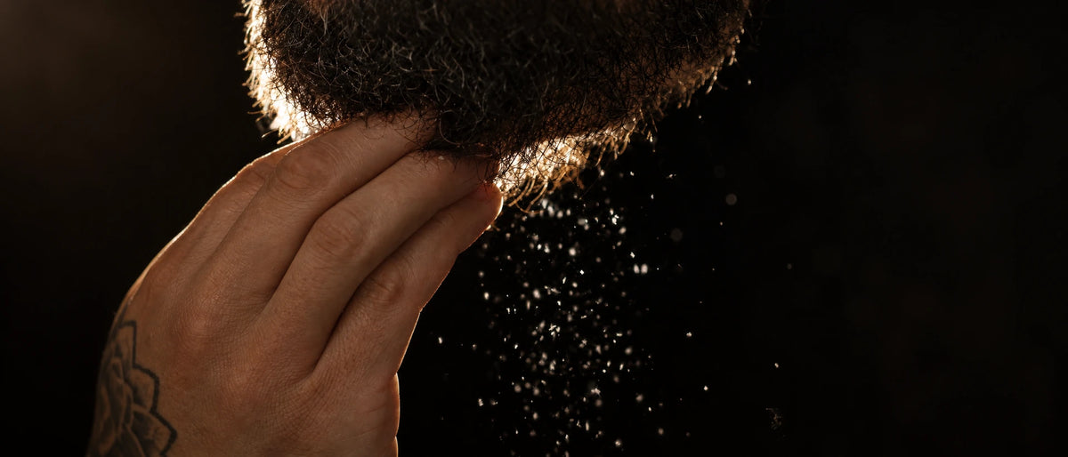 De petites squames tombent d’une barbe au passage des doigts, sur fond sombre